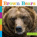 Brown Bears cover