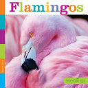 Flamingos cover
