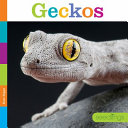 Geckos cover