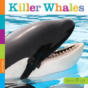 Killer Whales cover