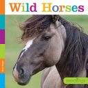 Wild Horses cover