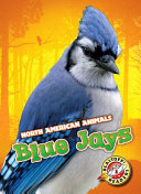 Blue Jays cover