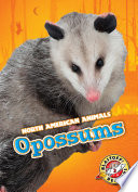 Opossums cover