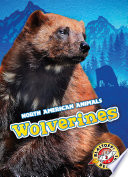 Wolverines cover
