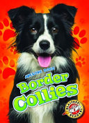 Border Collies cover