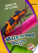 Milkweed Bugs cover