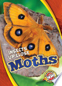 Moths cover