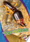 Termites cover