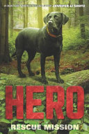 Hero: Rescue Mission cover