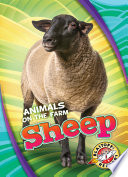 Sheep cover