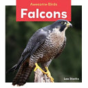 Falcons cover