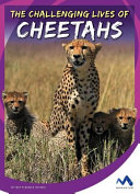 The Challenging Lives of Cheetahs cover