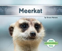 Meerkat cover