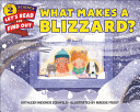What Makes a Blizzard? cover