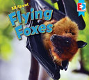All About Flying Foxes cover