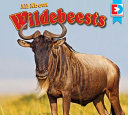 All About Wildebeests cover