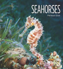 Seahorses cover
