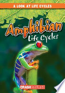 Amphibian Life Cycles cover