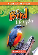 Bird Life Cycles cover