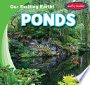 Ponds cover