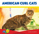 American Curl Cats cover