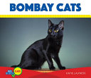 Bombay Cats cover