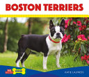 Boston Terriers cover