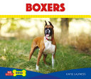 Boxers cover