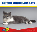 British Shorthair Cats cover