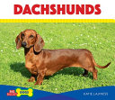 Dachshunds cover