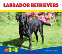 Labrador Retrievers cover