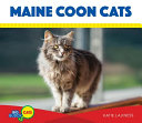 Maine Coon Cats cover