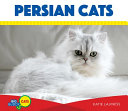 Persian Cats cover