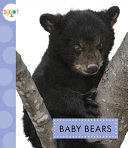 Baby Bears cover