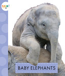 Baby Elephants cover