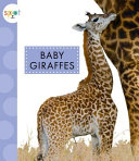 Baby Giraffes cover