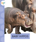 Baby Hippos cover