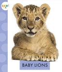 Baby Lions cover