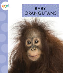 Baby Orangutans cover