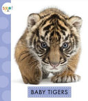Baby Tigers cover