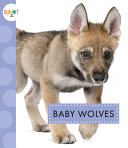 Baby Wolves cover
