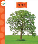 Trees cover