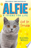 Cat in Trouble cover