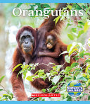 Orangutans cover