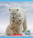 Polar Bears cover