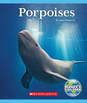Porpoises cover