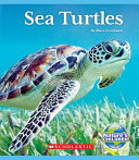 Sea Turtles cover