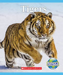 Tigers cover