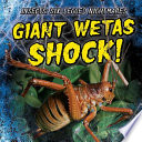 Giant Wetas Shock! cover