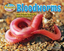 Bloodworms and Other Wriggly Beach Dwellers cover